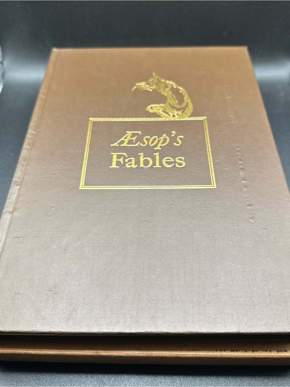 Brown Æsop's Fables Hardcover Book